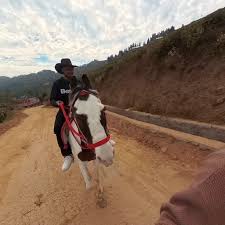 जन्मदिनको शुभकामना कान्छो