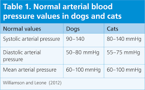 See more ideas about blood pressure monitors, blood pressure, blood. Arterial Lines Why When How The Veterinary Nurse