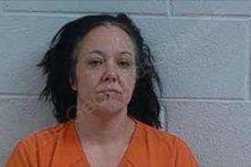 Amanda Wynn — Polk County Jail Bookings