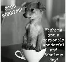 100 Funny Good Morning Quotes For Friends Morning Quotes Funny Funny Good Morning Memes Good Morning Funny