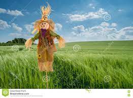Traducir espantapájaros significado espantapájaros espantapájaros. Campo De La Cebada Con El Espantapajaros En Campo Ingles Foto De Archivo Imagen De Britain Verano 76462894