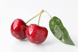 Three super easy fruit tree guild designs for your home garden. 2 000 Cherry Fruit Tree Pictures