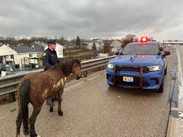 Michigan State Police