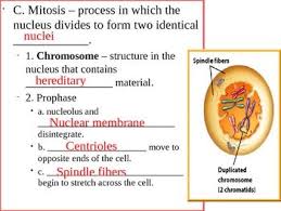 Pin On Genetics