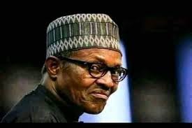 NADECO Backs Restructuring, Says It Will Resolve Nigeria's Political Crisis