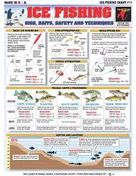 How To Identify Freshwater Species Shad Perch Walleye