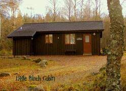 Little birch cabin is surround by fantastic scenery and wildlife. Little Birch Cabin United Kingdom Self Catering Breaks