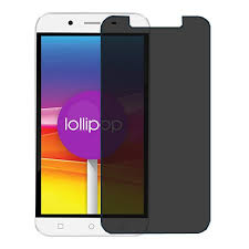 Micromax Q391 Canvas Doodle 4 Protector ...