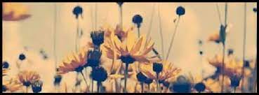 See more ideas about hippie boho, hippie, boho. Nature Flowers Quotes Photos Facebook Quotesgram