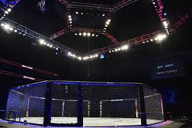 Ufc 254 took place saturday, october 24, 2020 with 12 fights at ufc fight island in abu dhabi, dubai, united arab emirates. Ufc To Hold Events On Abu Dhabi Island Abs Cbn News