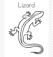 Free drawing tutorials for beginners i loved drawing the alphabetimals, and now i'd like to share some of the drawing tips and tricks i used to make them come to life. Reptile Coloring Book Chameleons Child Drawing Png 685x886px Reptile Animal Art Artwork Bearded Dragons Download Free