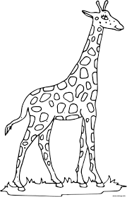 Pour peindre une girafe simples. Coloriage Girafe Avec Un Long Cou Dessin Girafe A Imprimer