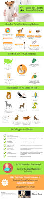 Describe your job and how long you've been at it, ect). 21 Reason Why I Want To Become A Veterinarian Infographic Portal