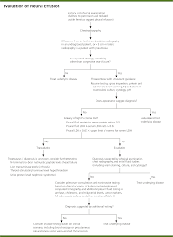 Diagnostic Approach To Pleural Effusion American Family