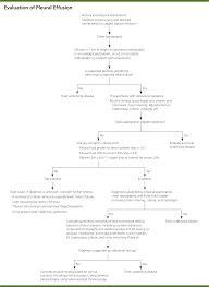 diagnostic approach to pleural effusion american family