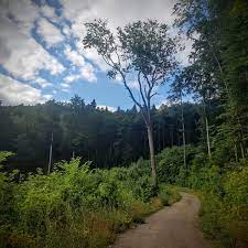 , kterou nalezneme východně od adamova. Adamov Alexandrova Rozhledna Babice Nad Svitavou Bilovice Nad Svitavou Brno Obrany Pesky Bikemap Deine Radrouten