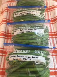For best results always start with fresh and tender beans. Freezing Green Beans The Garden Delicious