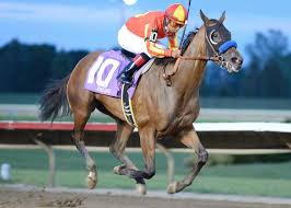 the iowa oaks winner 2013 fiftyshadesofhay horses horse profile horse racing