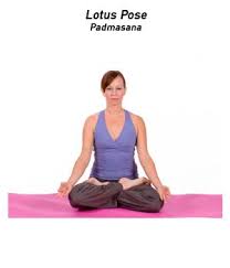 How To Do Lotus Pose In Yoga Lotus Pose Meditation Poses Yoga Poses