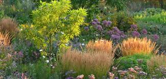 Containerpflanzen, wurzelnackte pflanzen oder ballierte pflanzen benötigen jewei. Staudenbeet Pflanzplan