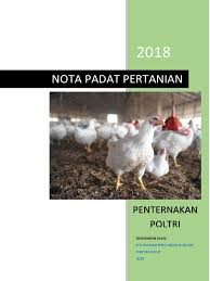 Beternak bebek pedaging merupakan salah satu bisnis yang cukup menjanjikan. Nota Padat Pertanian Pengeluaran Poltri Pdf