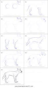 How To Draw A Dingo Printable Step By Step Drawing Sheet Drawingtutorials101 Com By drawing on the forms and features of more pedestrian animals, you'll learn how to give shape to the this great book explains what materials are necessary for drawing and demonstrates how to create. how to draw a dingo printable step by