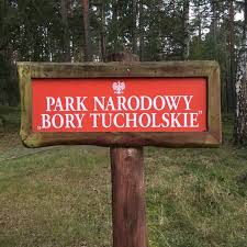 Tak, w parku narodowym bory tucholskie znajdziesz obiekty oferujące pobyty dla osób przebywających w podróży służbowej oraz kwatery pracownicze. Park Narodowy Bory Tucholskie Nationalpark