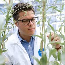 Luis Luque M (@luisluchem)