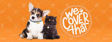 A lot of cat owners may not even realize their cats are suffering. Pet Insurance Coverage Aspca Pet Health Insurance