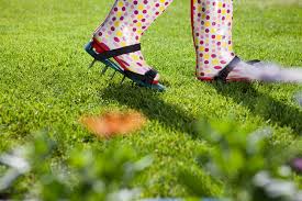 How do i aerate my lawn? Lawn Aeration Guide Professional Services Vs Diy Trugreen