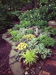 Pin By Xtina Bachatera On In My Garden Woodland Garden Woodland Garden Ideas Shade Garden