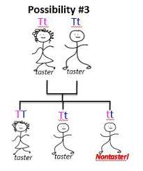 Understanding Genetics