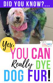 5 Diy Dog Hair Dye Methods Using Food Color Read This Before You Dye Your Dog S Fur A Different Color Dog Hair Dye Diy Dog Stuff Dog Fur