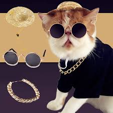 Whether your diamonds are placed in station, pendant, or are chain necklaces, they can also come in a variety of cuts. Sunglasses For Cats 3 Pcs Cat Gold Chain Cat Sunglasses Cat Hat Fashion Cool Pet Sunglasses Adjustable Pet Gold Chain Set For Cats And Small Dogs Walmart Com Walmart Com