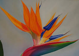 Acrylic Bird Of Paradise Painting Pin On Art
