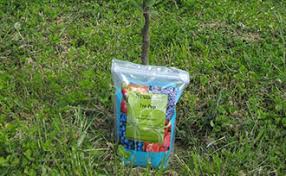 How To Fertilize New Fruit Trees Stark Bros