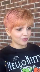 Your Sunday Morning Funnies! 🦄