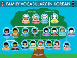 Family Vocabulary in Korean - Learn Korean with Fun & Colorful Infographics