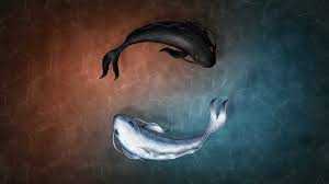 Publish my work poseidon's realm: Koi Fish 4k Wallpapers Wallpapers Most Popular Koi Fish 4k Wallpapers Backgrounds Browsecat Net
