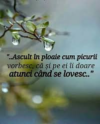 Pin By Css On Citate Inspirational Quotes Mixed Emotions Words