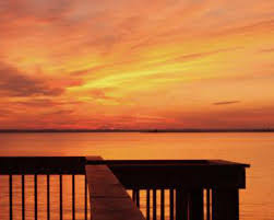 Check spelling or type a new query. James River Tag Newport News Tourism Development Office
