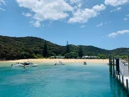 Dolphin Nature Cruise Epic Deals And Last Minute Discounts