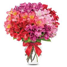 Life is like ice cream, you better enjoy it before it wilts (melts). Granger Florist Local Flower Delivery Same Day Devliery