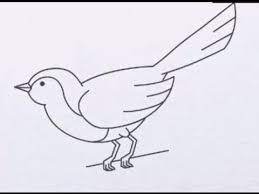 resultat de recherche d images pour تعليم رسم الحيوانات بالقلم الرصاص multiplication