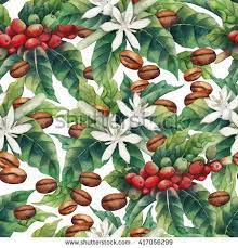 Watercolor Coffee Seamless Pattern Isolated On White Background Hand Painted Leaves Flowers And Beans Coffee Flower Coffee Wall Art Coffee Plant
