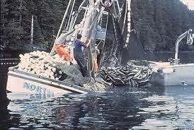 no one in alaska died, alaska