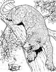 There's also a nice grouping of holiday coloring pages here. Cheetah Printable Coloring Pages Coloring Home