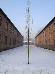 Jego powierzchnia liczy 30,3 km². Hd Wallpaper Poland Oswiecim Memorial And Museum Auschwitz Birkenau Wallpaper Flare