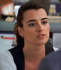 Cote de Pablo's elegance and talent