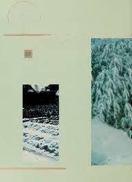 The Rhododendron [serial]